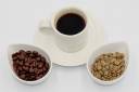 coffee-bean-to-cup